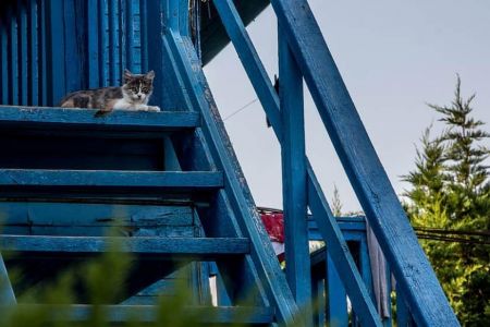 5 категория
"ЭКОНОМ"